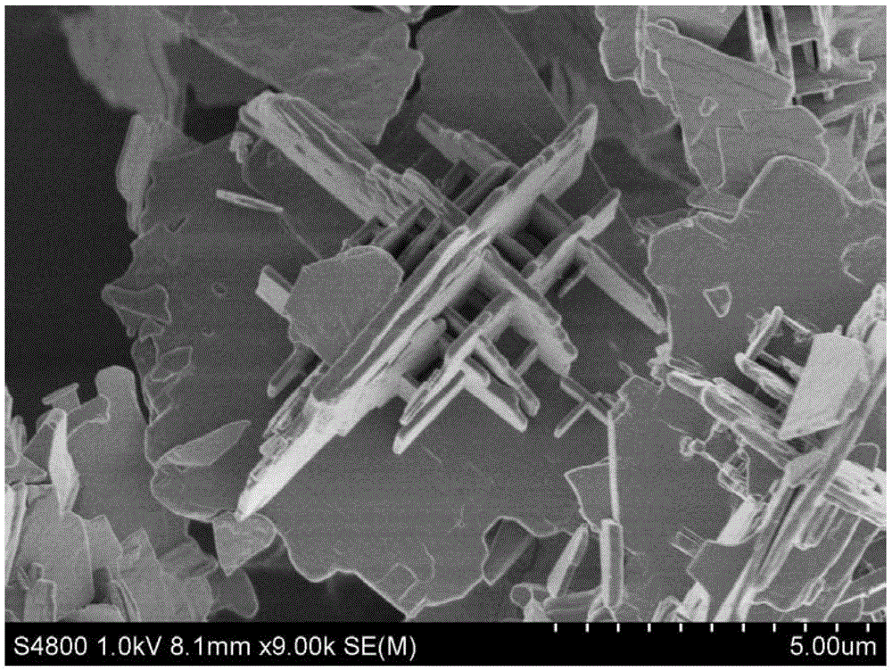 A kind of lanthanide rare earth ion-doped bismuth titanate single crystal flake and preparation method thereof