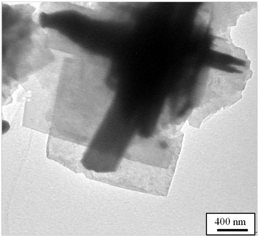 A kind of lanthanide rare earth ion-doped bismuth titanate single crystal flake and preparation method thereof