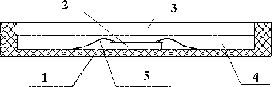 Transparent ceramic white light emitting diode (LED) and preparation method thereof