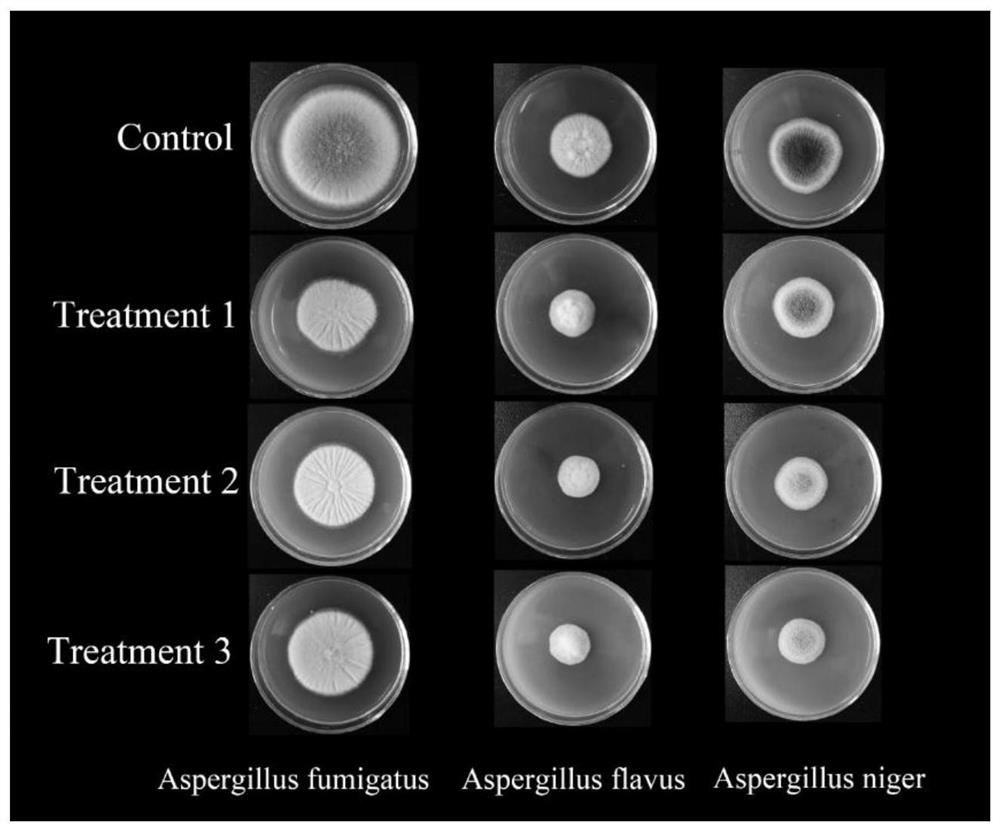 Complex vitamin D for preventing and treating fungal infection and application of complex vitamin D