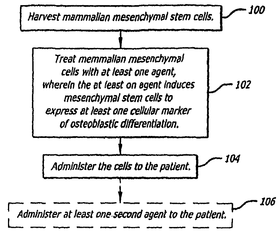 Agents and Methods for Osteogenic Oxysterols Inhibition of Oxidative Stress on Osteogenic Cellular Differentiation