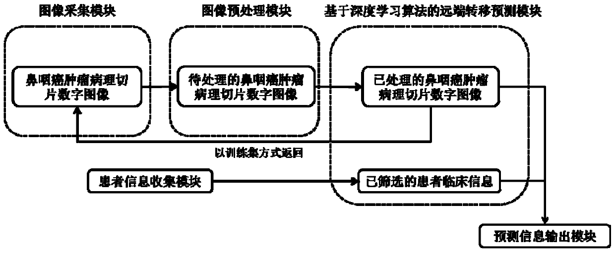 Method for establishing nasopharyngeal carcinoma distant metastasis predicting model