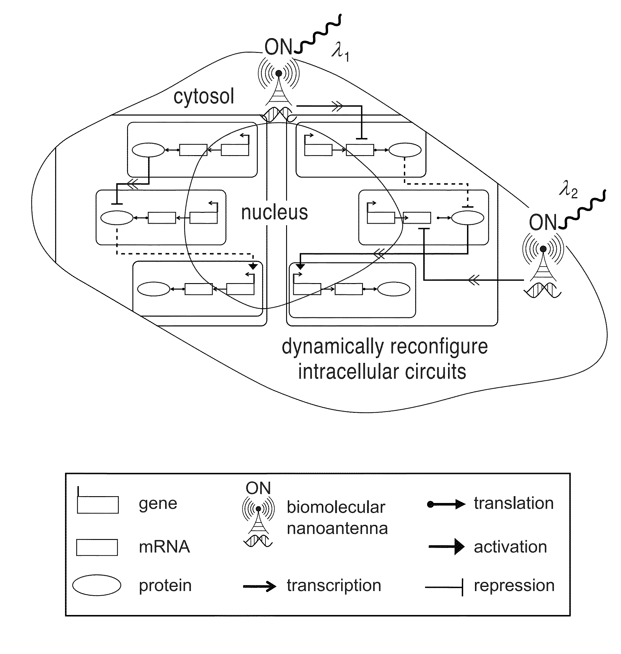 Photonic nanoantenna mediated gene circuit reconfiguration