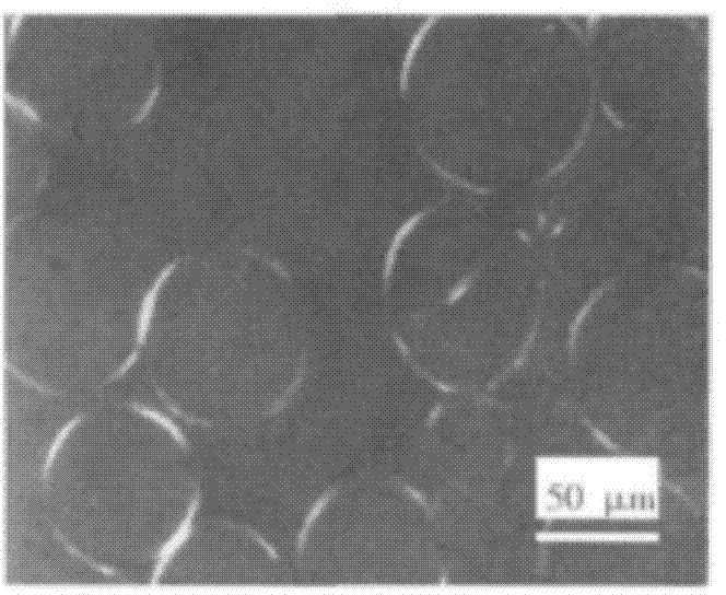 Emulsion composition used for water resistant liquid crystal cosmetics and application thereof