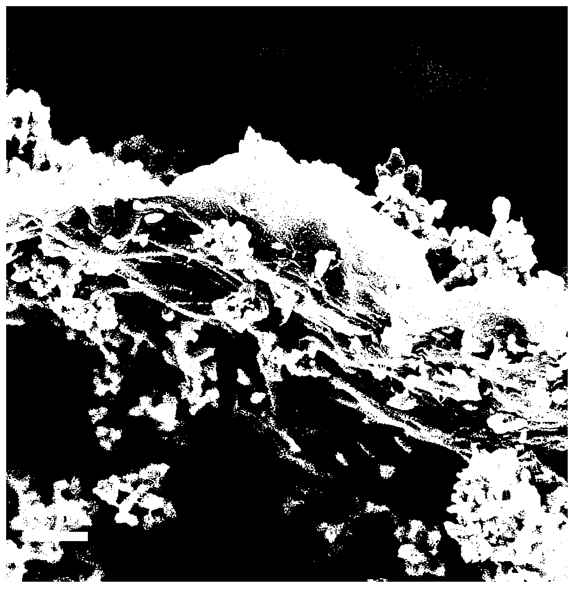 Graphene oxide loaded nanometer zinc oxide antibacterial agent, preparation method and applications thereof