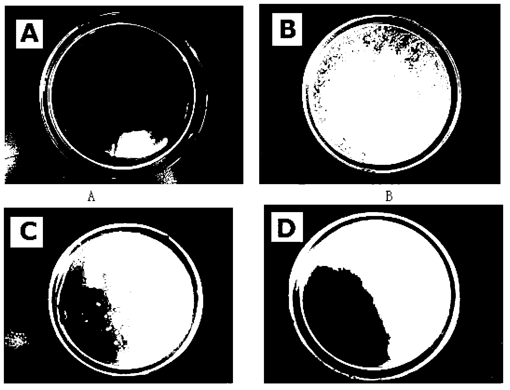 Graphene oxide loaded nanometer zinc oxide antibacterial agent, preparation method and applications thereof