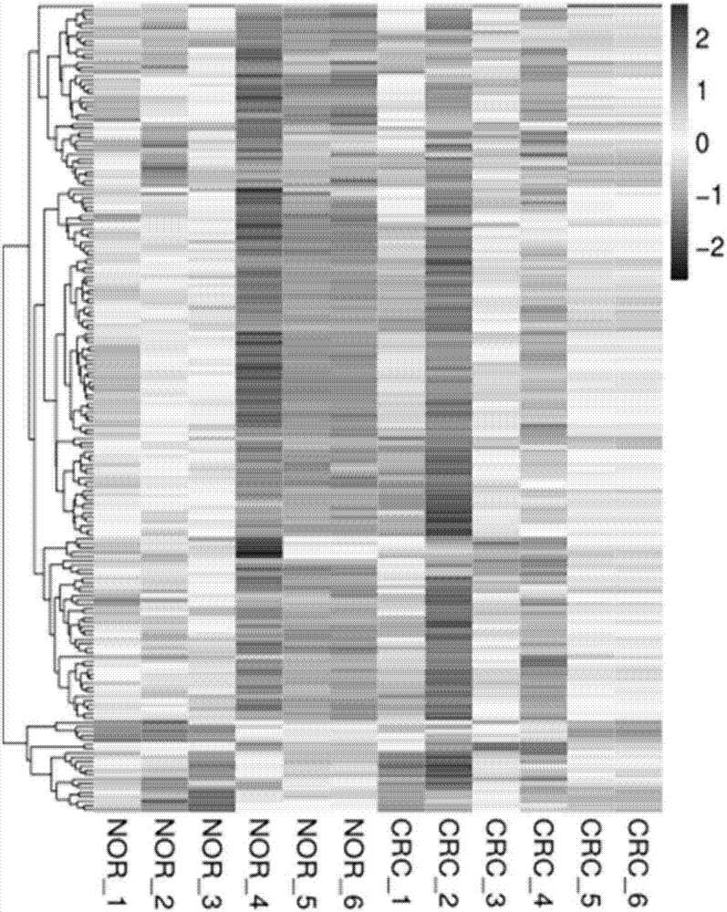 Colorectal cancer diagnostic biomarker and application thereof