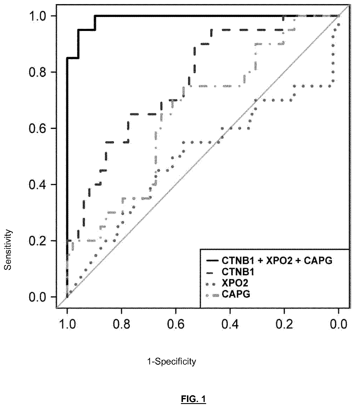 Ctnb1 as a marker for endometrial cancer