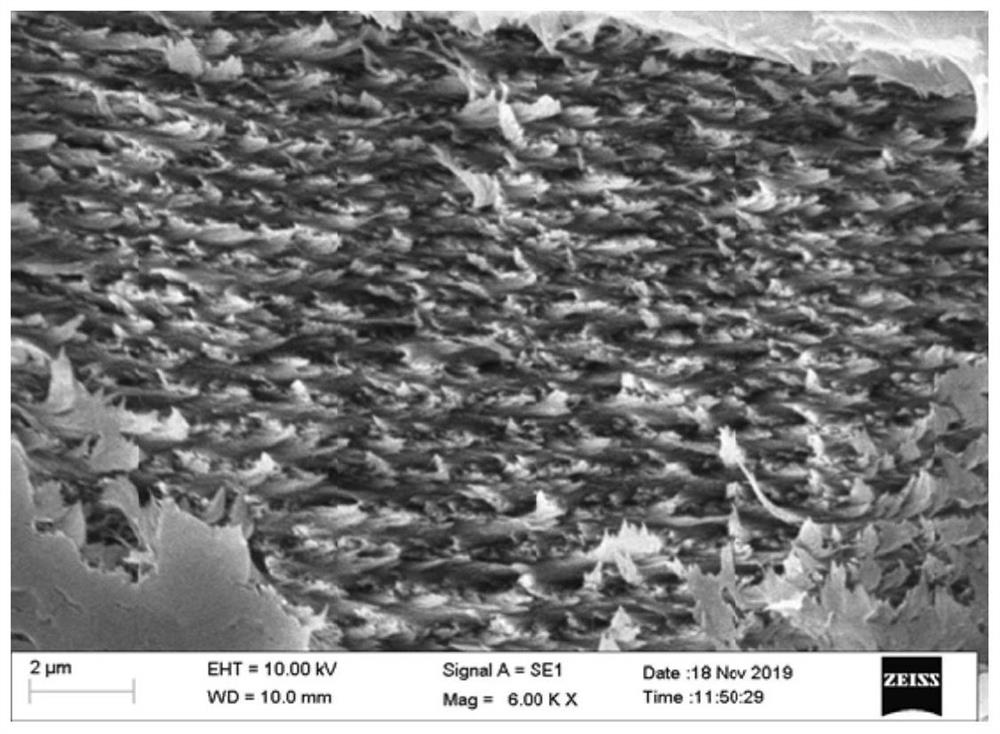 A full-color display film based on structural color and its preparation method