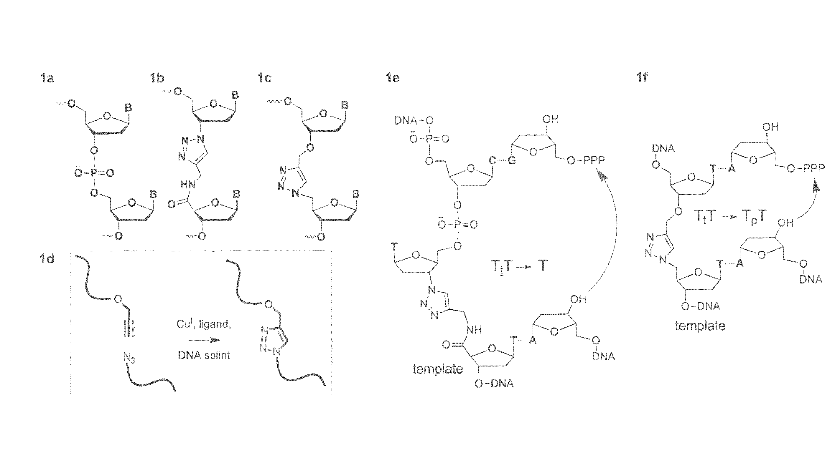 Oligonucleotide ligation