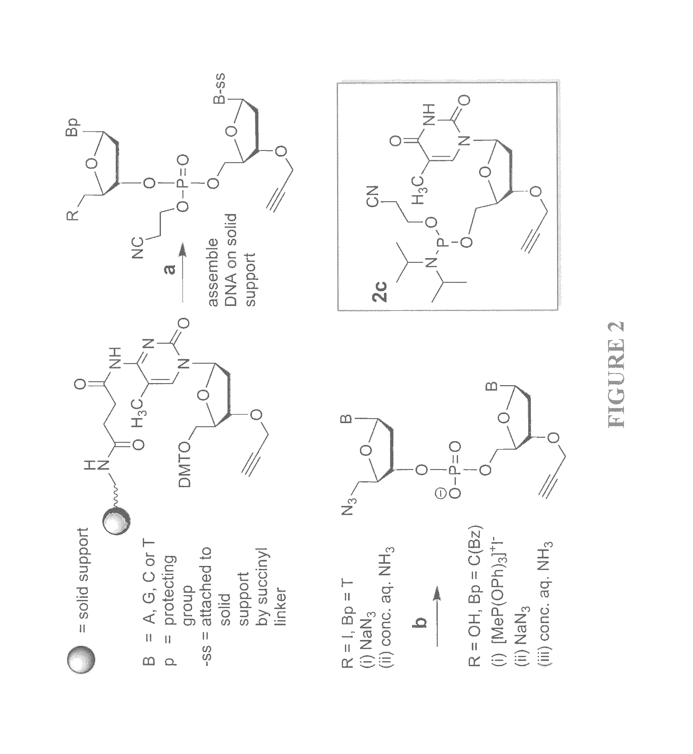 Oligonucleotide ligation