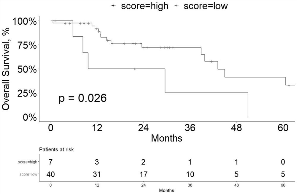 miRNA kit for detecting prognosis of lung adenocarcinoma