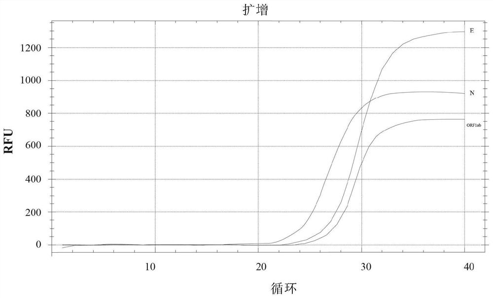 Reagent and method for detecting novel coronavirus