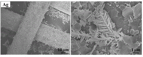 Method for preparing super hydrophobic coating on copper or copper alloy net