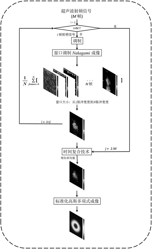 Apparatus and method for monitoring radiofrequency ablation by means of window modulation and Gauss polynomial fitting