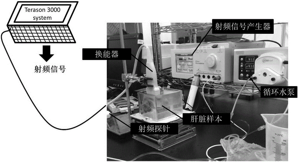 Apparatus and method for monitoring radiofrequency ablation by means of window modulation and Gauss polynomial fitting