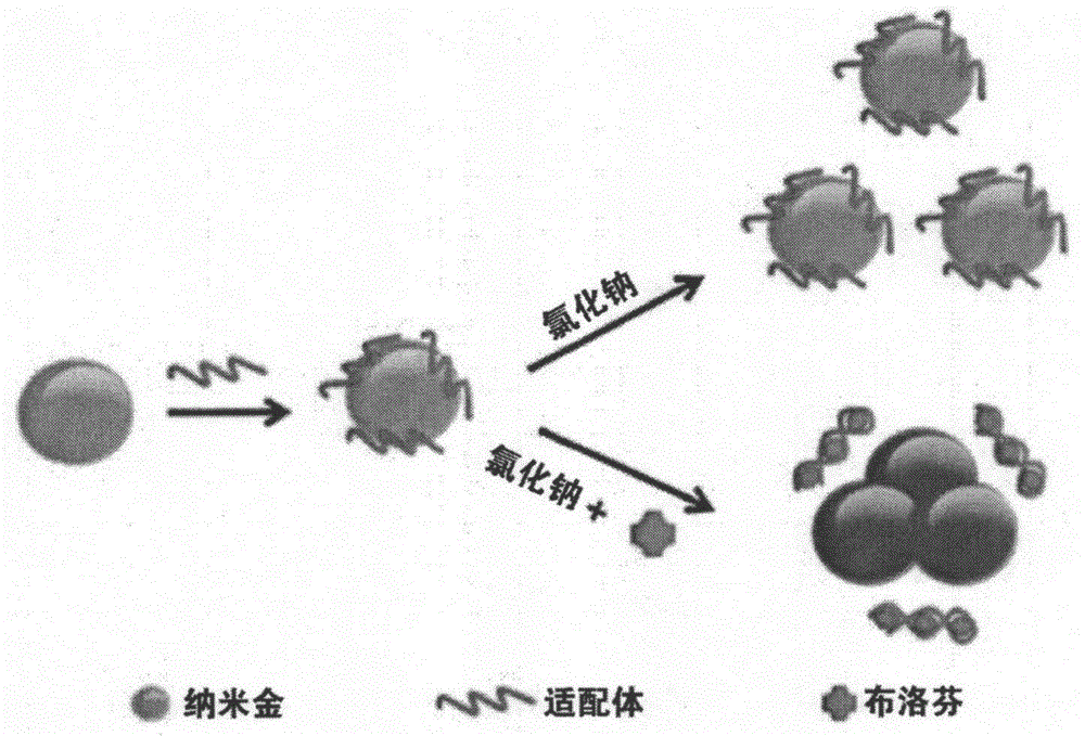 Aptamer-modified nanogold colorimetric detection-based analysis method of ibuprofen