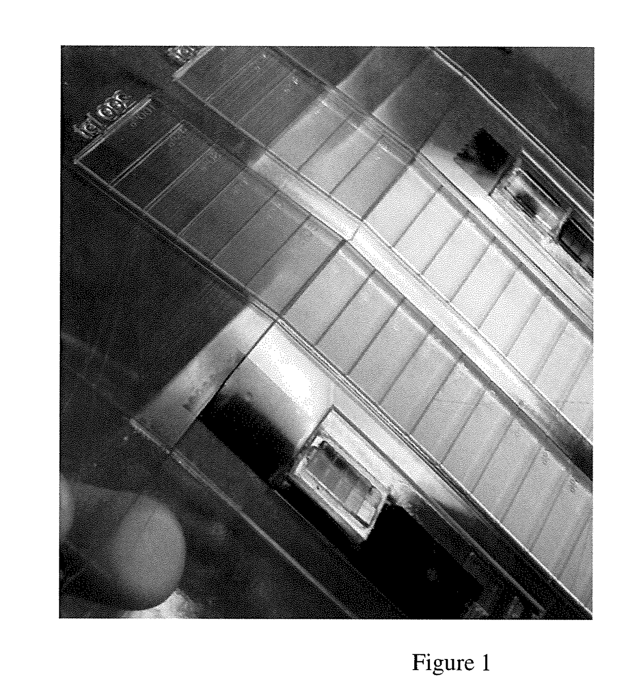 Method of improving light stability of flexographic printing plates featuring flat top dots