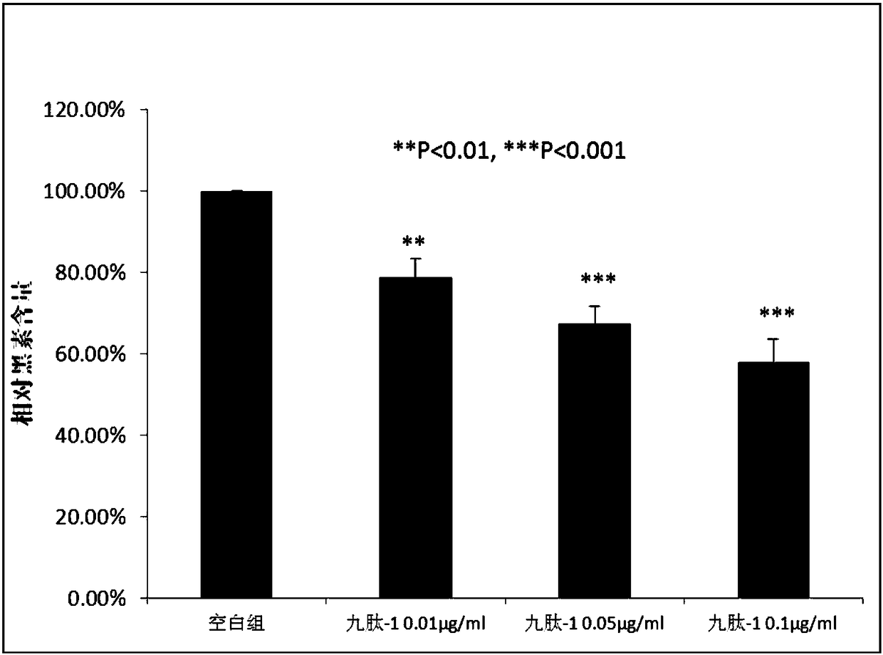 Polypeptide composition for inhibiting melanogenesis and application thereof