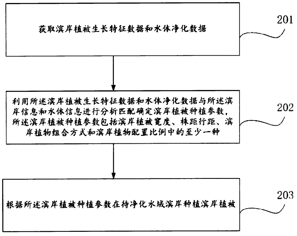 Method for purifying water body by utilizing aquatic plants and riparian vegetation