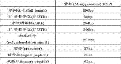 Freshwater shrimp KSPI (Kazal-type Serine Proteinase Inhibitor) gene, and amplification method and amplification primer group thereof