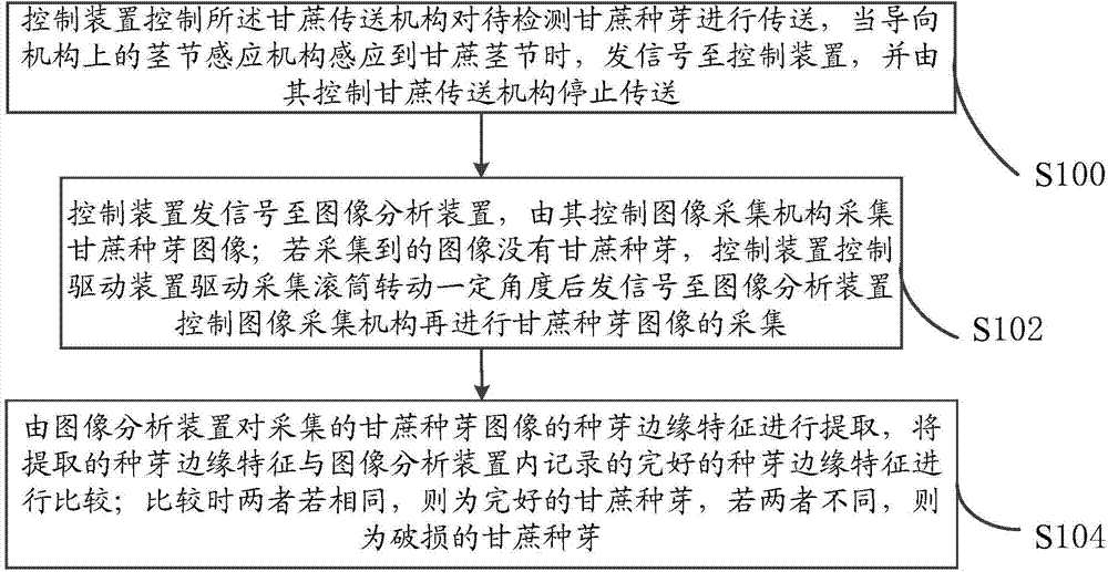 Sugarcane seedling integrity detection system and method