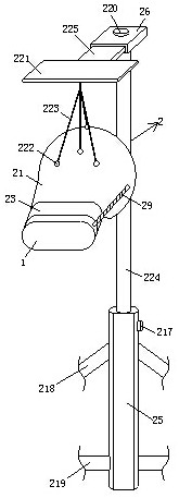 A kind of Alzheimer's disease auxiliary therapy instrument