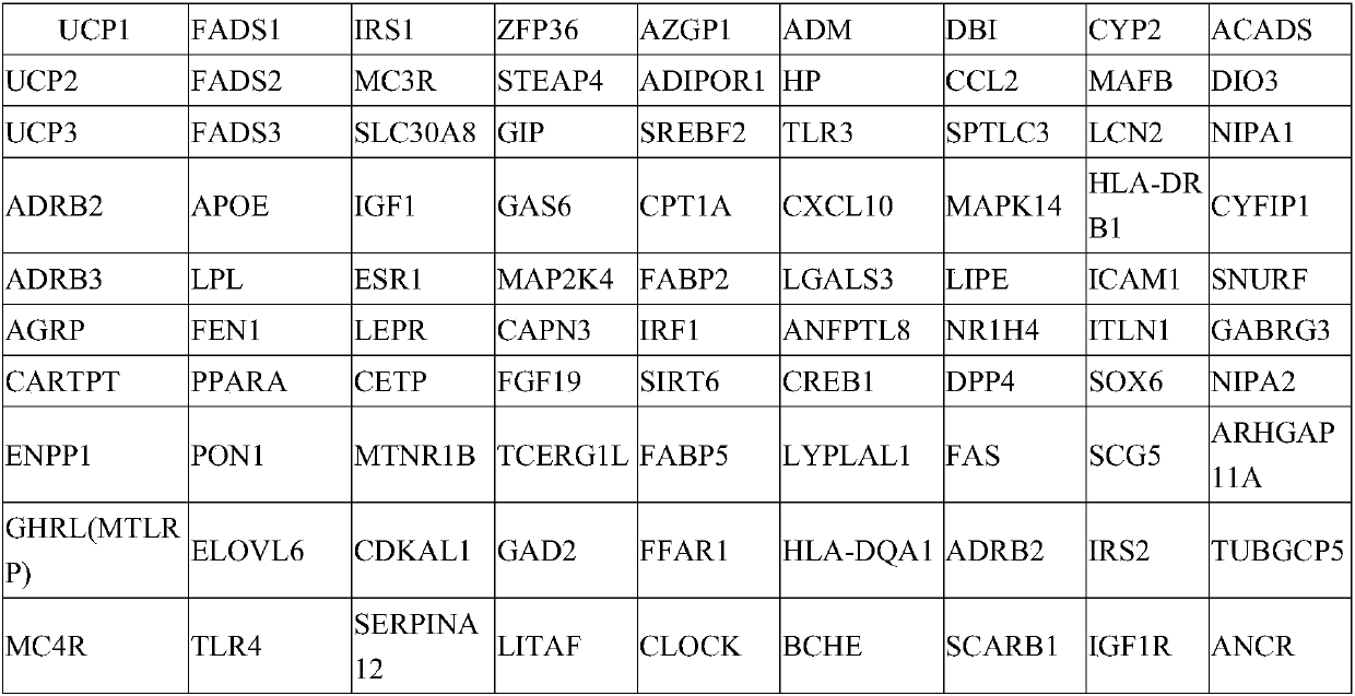 Diagnostic kit for obesity gene mutation and application thereof