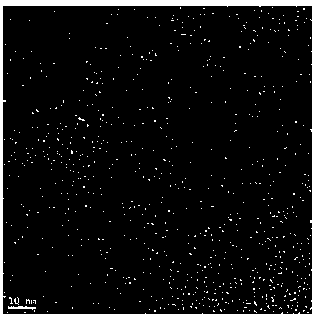 Carbon quantum dot fluorescent labeling material using coke powder as carbon source and preparation method thereof