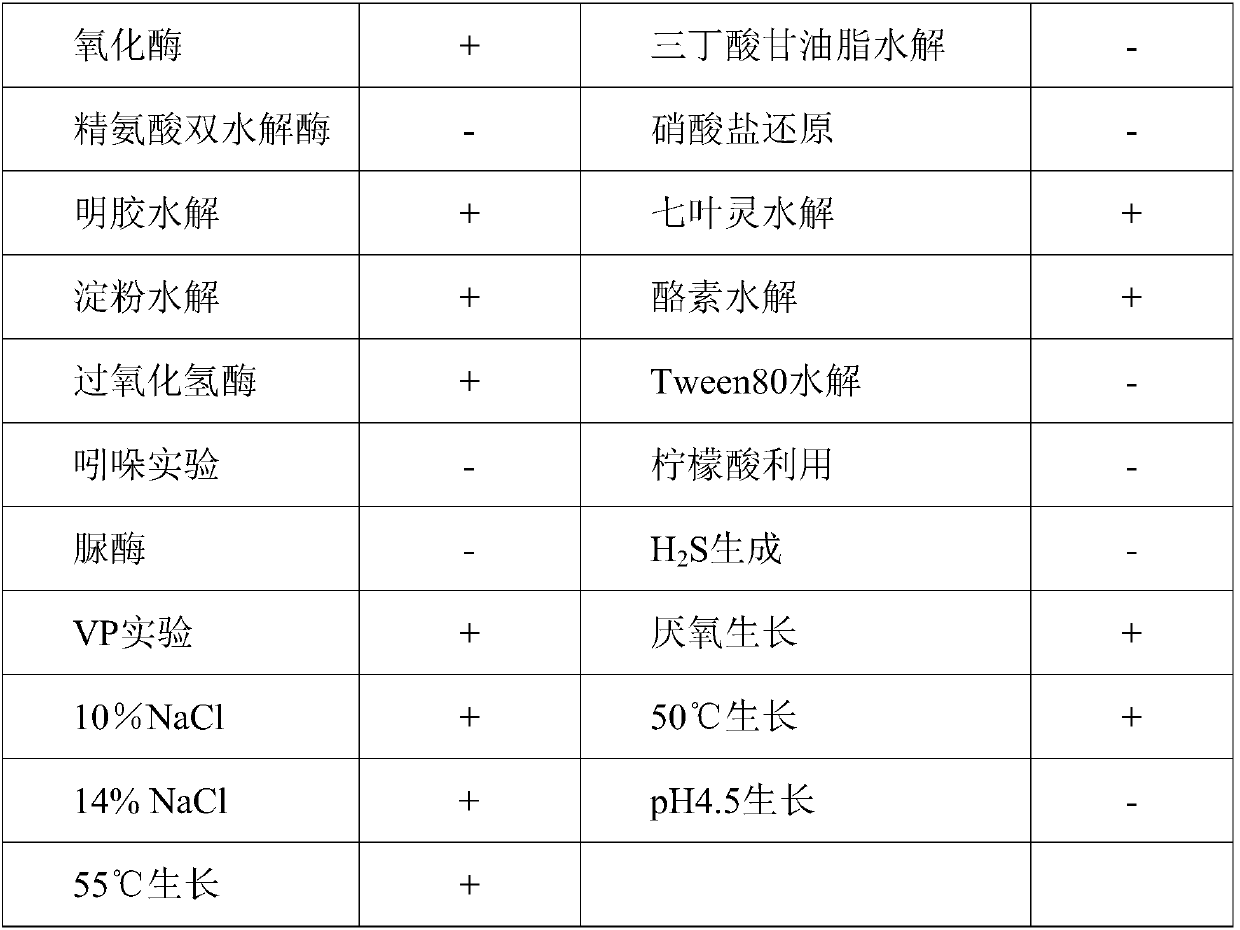 Bacillus siamensis strain and application thereof