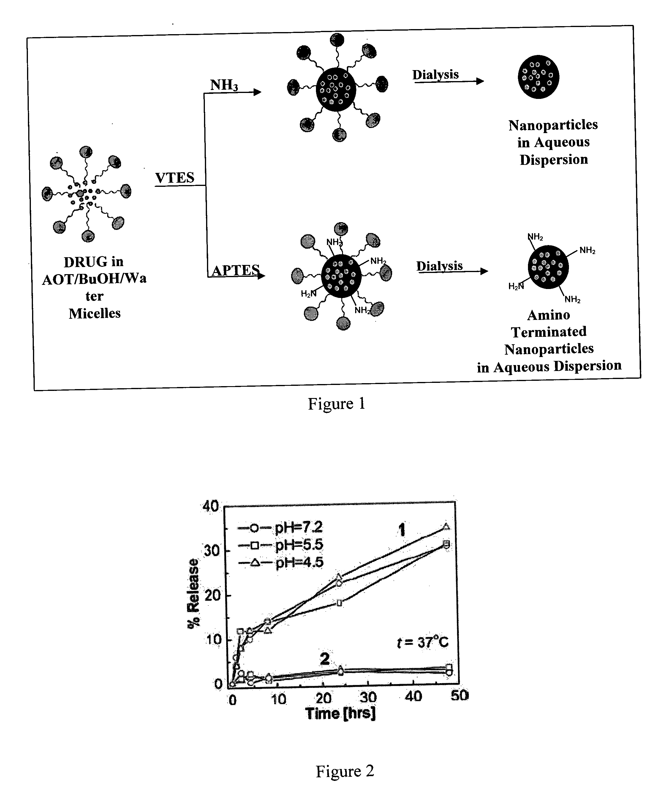 Amino functionalized ORMOSIL nanoparticles as delivery vehicles