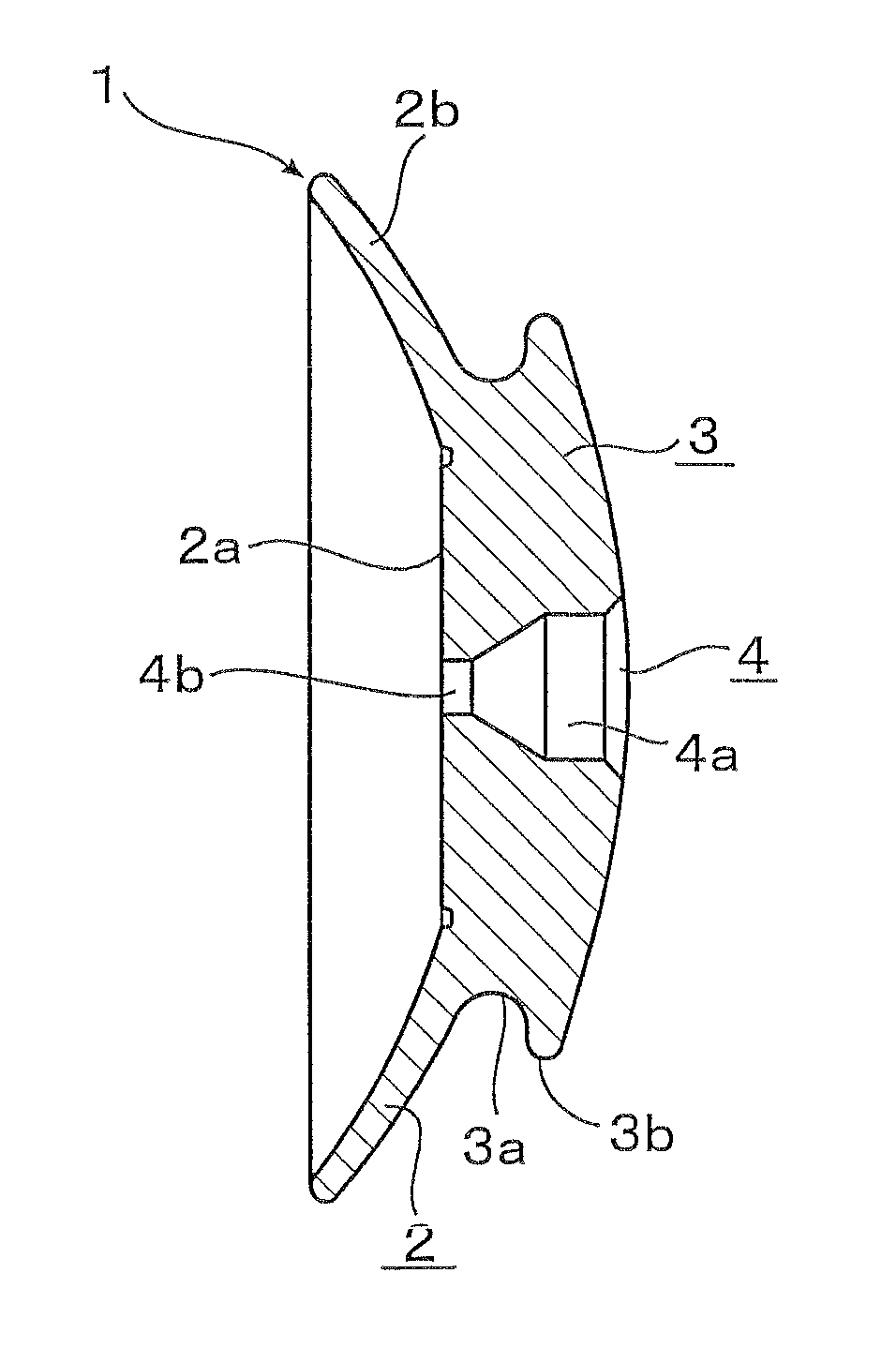 Vision corrective jig and cooling fluid injection tool for the jig