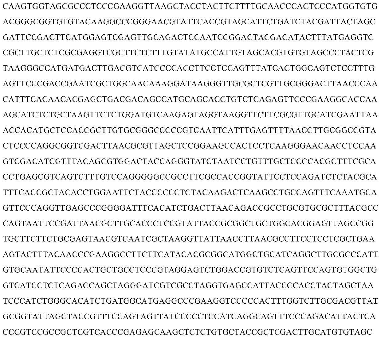 An antimony-resistant bacterium nxh3 and its application