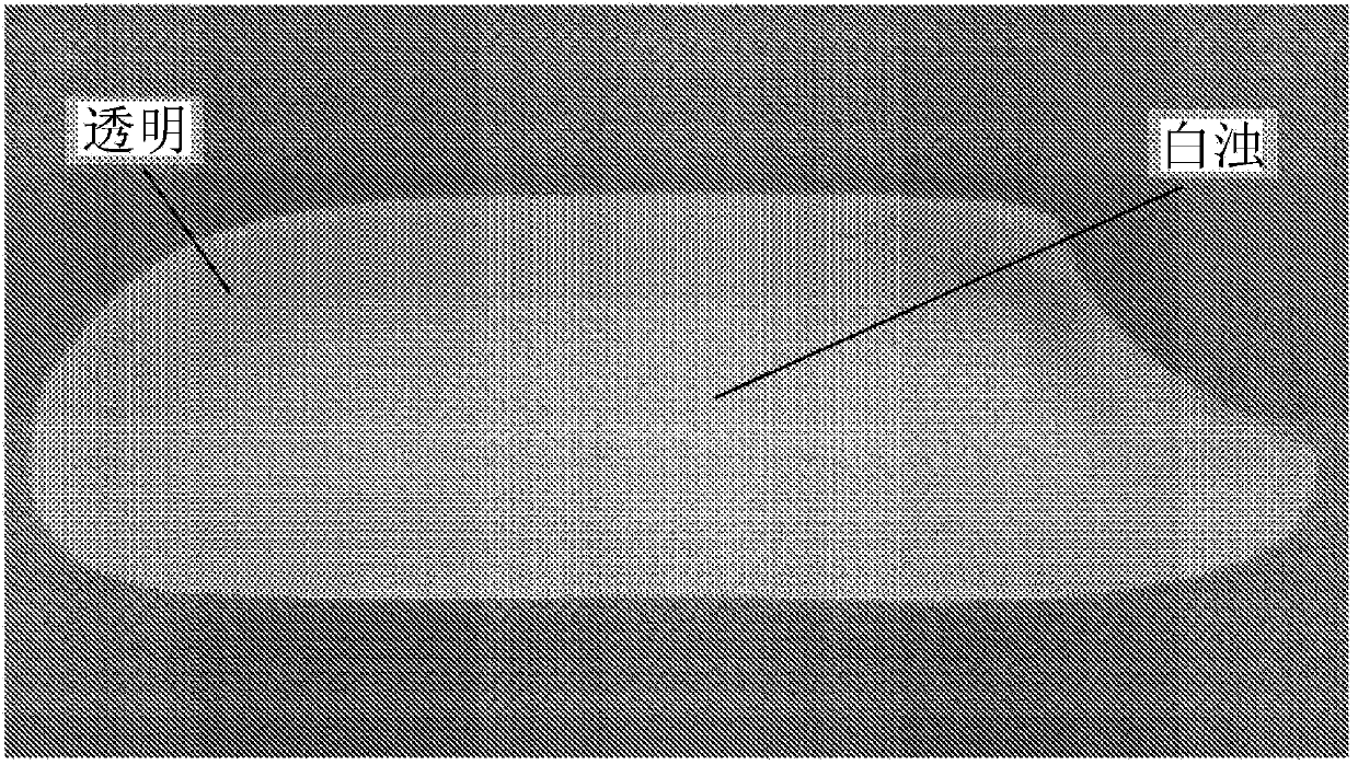 Method for manufacturing retort rice, and retort rice