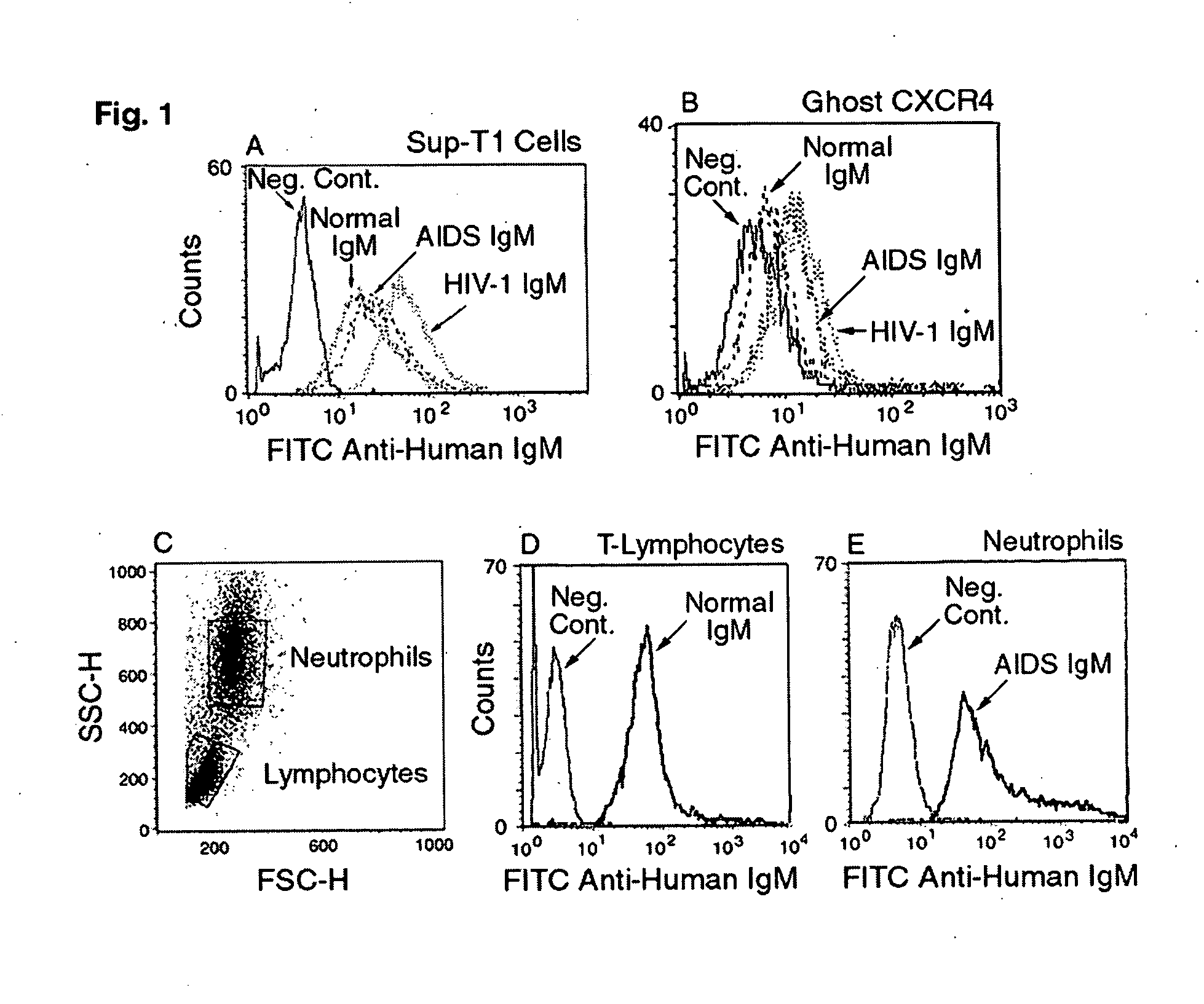 Naturally occurring IgM antibodies that bind lymphocytes