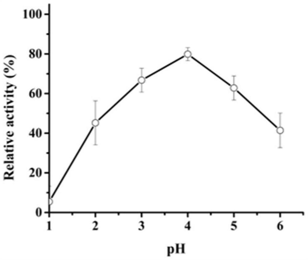 A kind of engineering bacteria for producing recombinant aspartic protease and its application