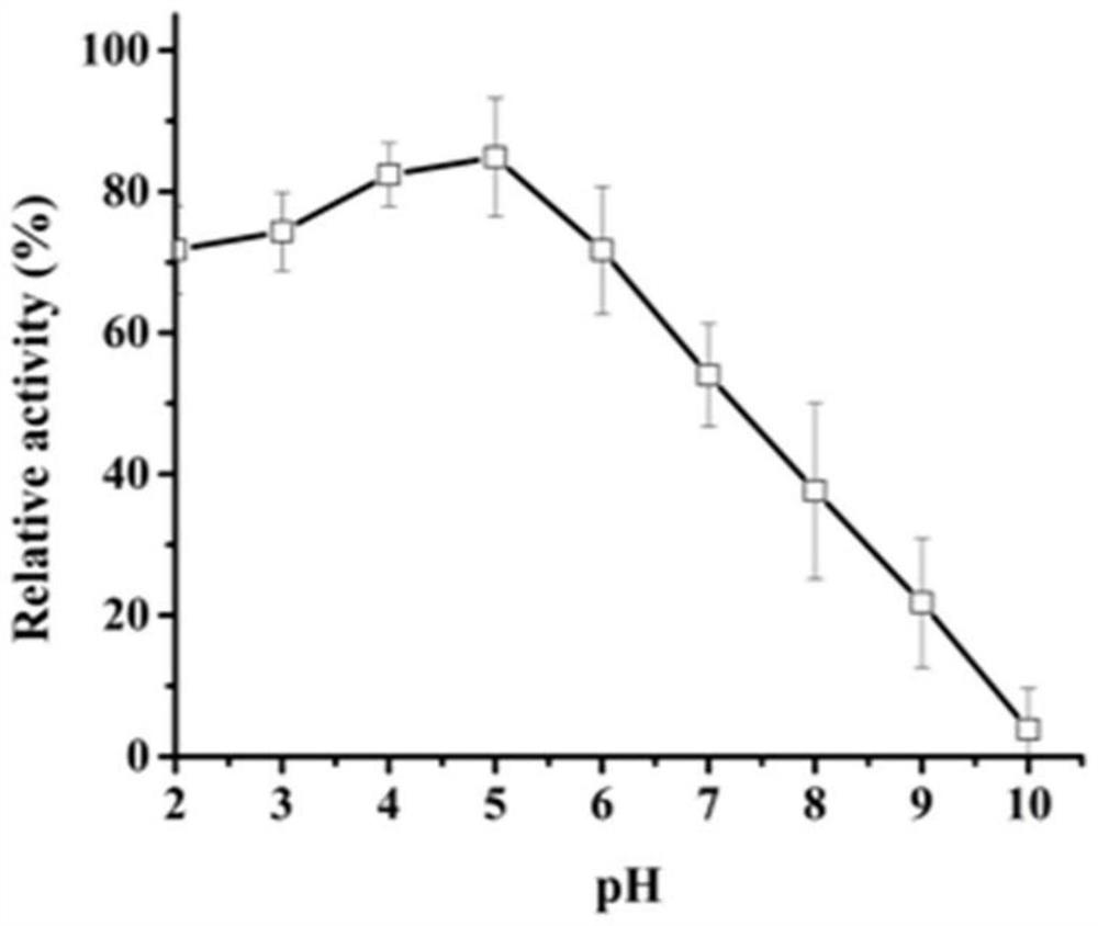 A kind of engineering bacteria for producing recombinant aspartic protease and its application