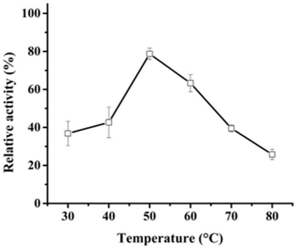 A kind of engineering bacteria for producing recombinant aspartic protease and its application