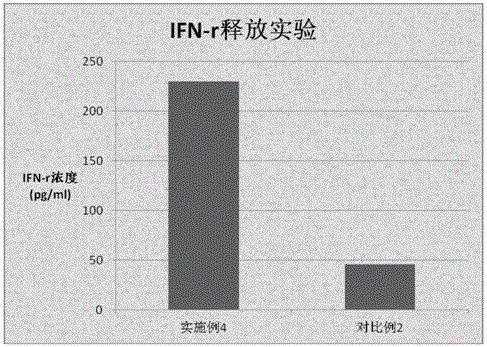 Preparation method for tumor antigen targeting DC cells