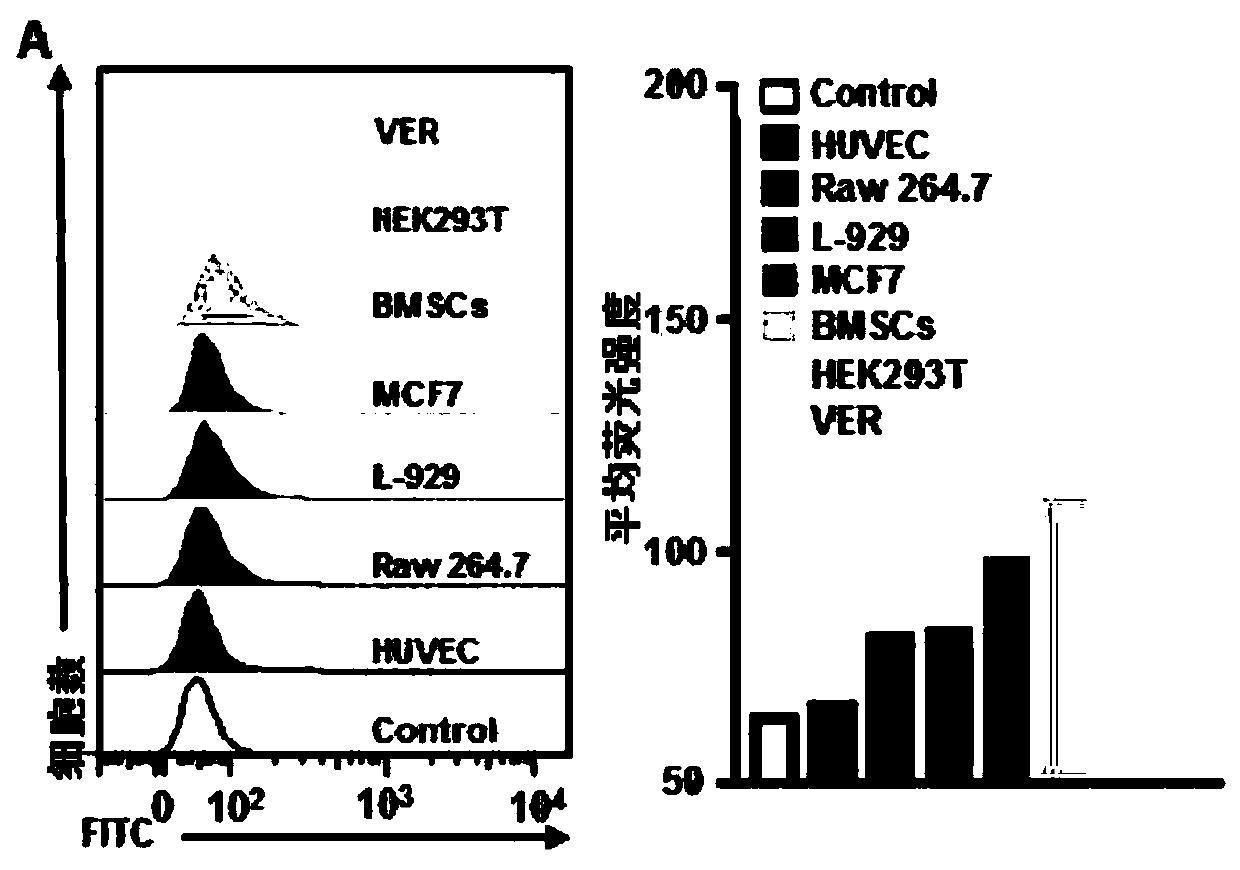 Preparation method of targeted extracellular vesicles for treating drug-resistant tumors