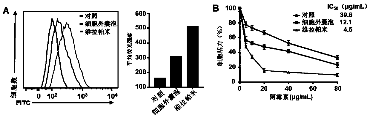 Preparation method of targeted extracellular vesicles for treating drug-resistant tumors