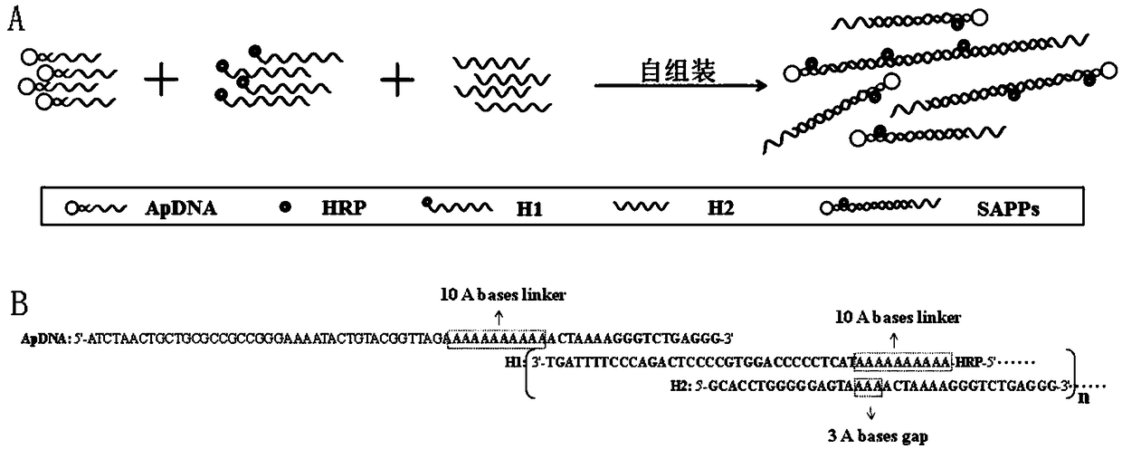 Self-assembled nucleic-acid aptamer/protein composite nano probe, preparation method, kit and application thereof