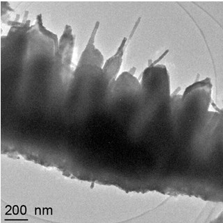 Preparation method of injector-shaped ZnO nanostructural array for field emission