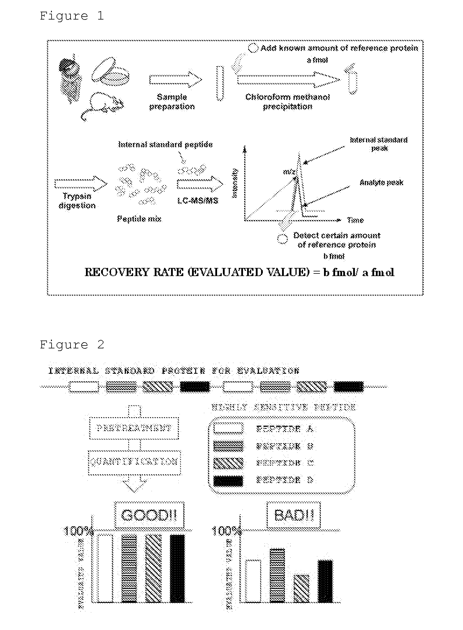 Evaluation Peptide For Use In Quantification Of Protein Using Mass Spectrometer, Artificial Standard Protein, And Method For Quantifying Protein