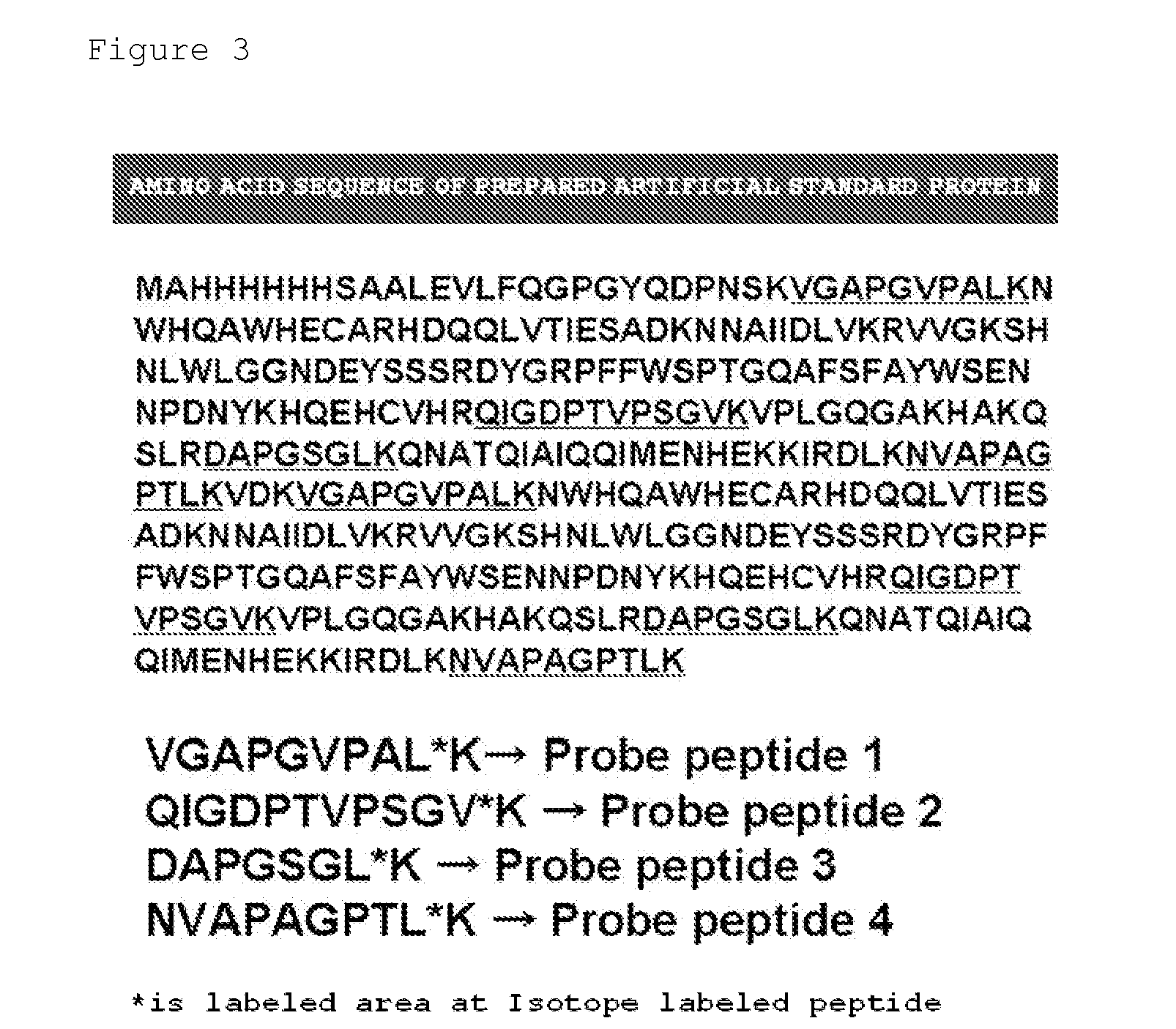 Evaluation Peptide For Use In Quantification Of Protein Using Mass Spectrometer, Artificial Standard Protein, And Method For Quantifying Protein