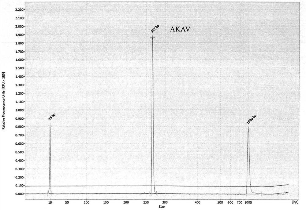 Primers and assays for gexp multiplex rapid detection for Akabane virus, bovine viral diarrhea virus and bluetongue virus