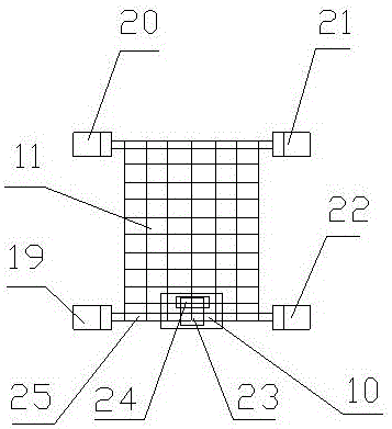 Sporting type pig raising system