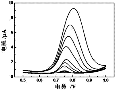 Method for preparing electropolymerized sulfosalicylic acid modified glassy carbon electrode and application of glassy carbon electrode in measurement of tryptophan