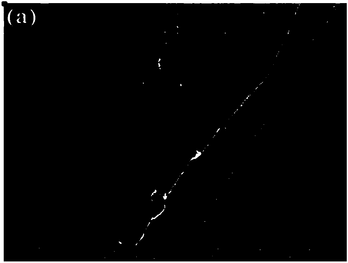 Preparation method of pH response color-changing cellulose fiber