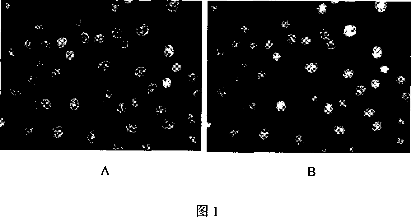 Application of cell nucleus targeting chitosan-fatty acid graft as medicine carrier micelle